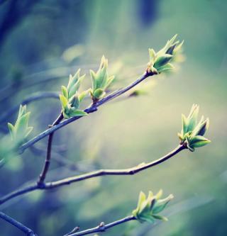 Falling Deeply Into America