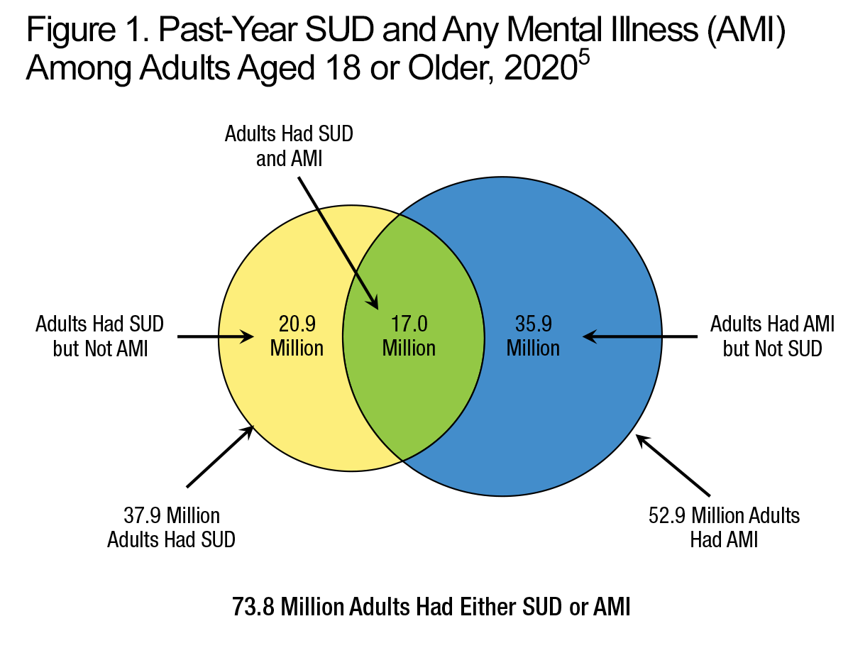 Figure 1. Past-Year SUD and Any Mental Illness (AMI) Among Adults Aged 18 or Older, 2020