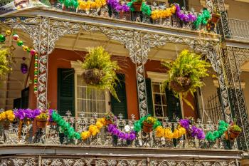 mardi gras