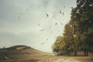 The Boundary I Wish I Hadn't Kept