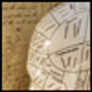 The Occupation of Psychiatry?