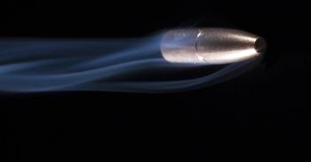 ©Guy J. Sagi/Shutterstock.com