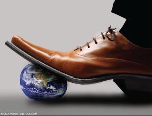 © Ollyy/shutterstock.com