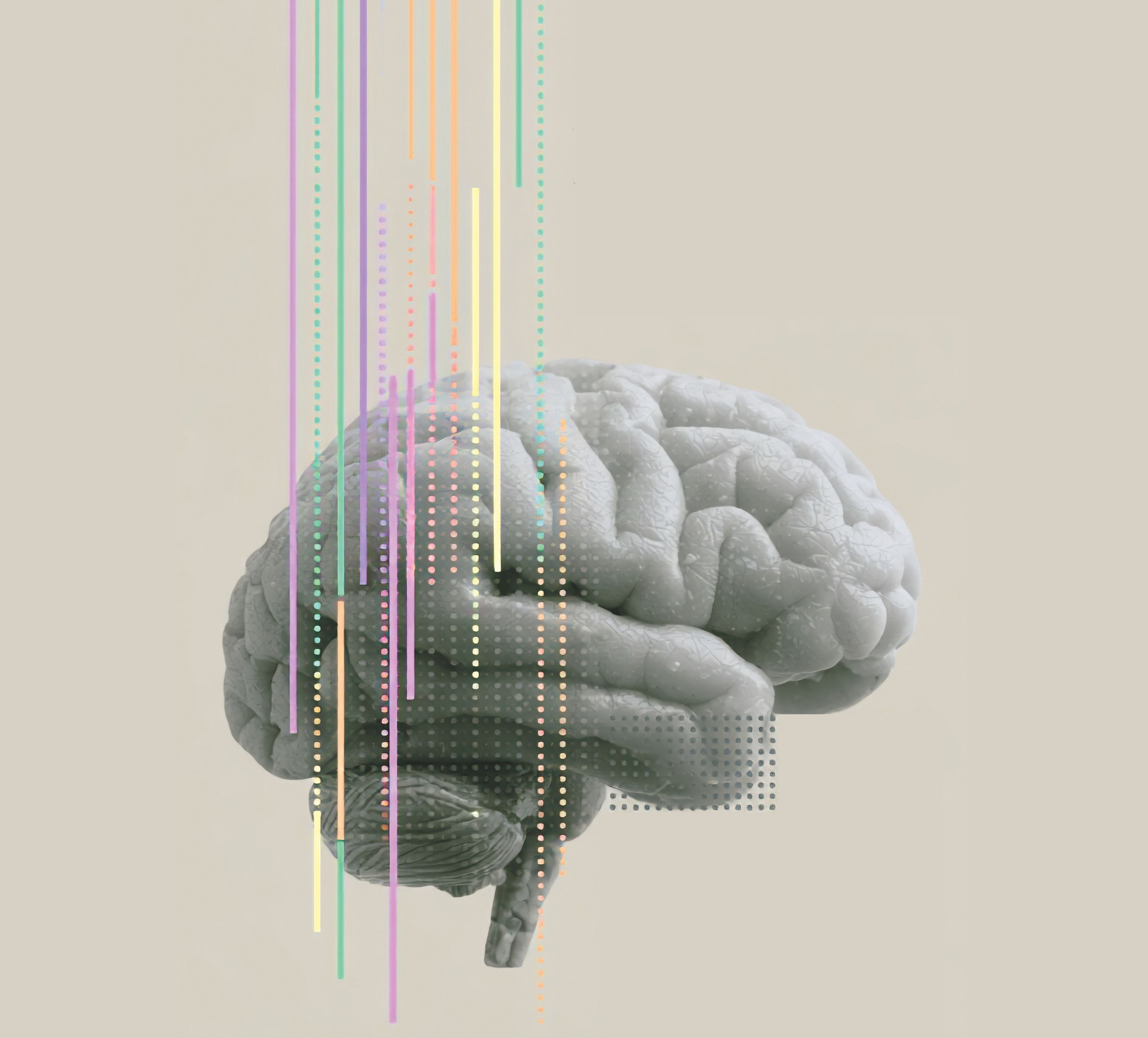 brain