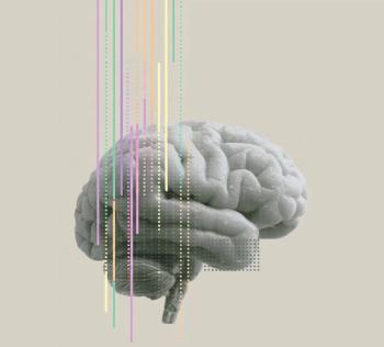 brain