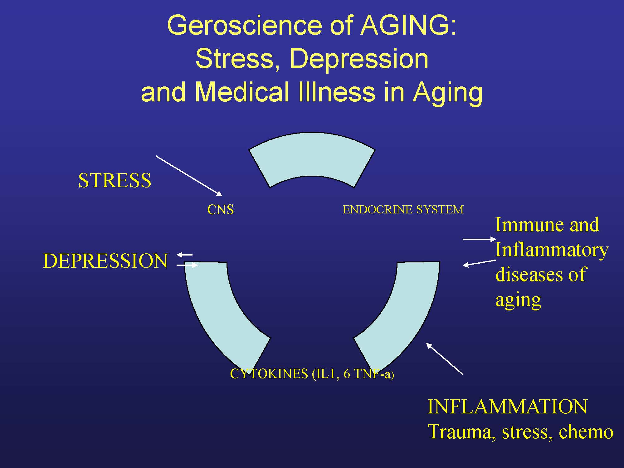 Strategies For Bolstering Resilience In Older Adults