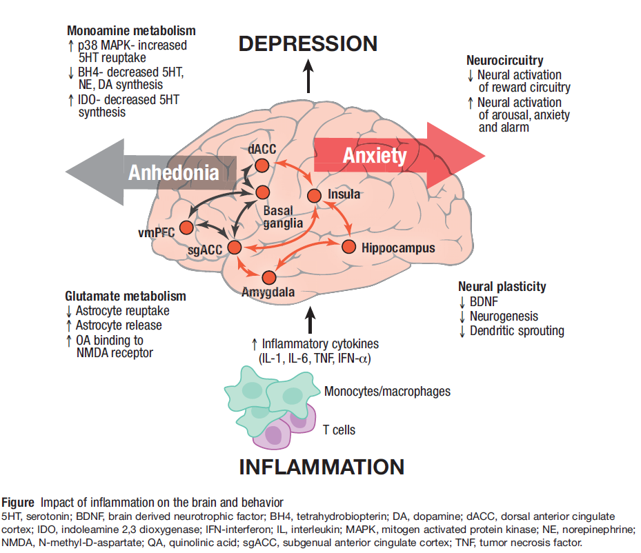 Five Things To Know About Inflammation And Depression