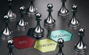 bio psycho social