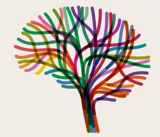 Promising Publication: The Novel Schizophrenia Treatment Gaining Traction