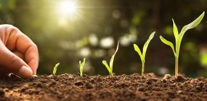 Resilience and Being Thankful
