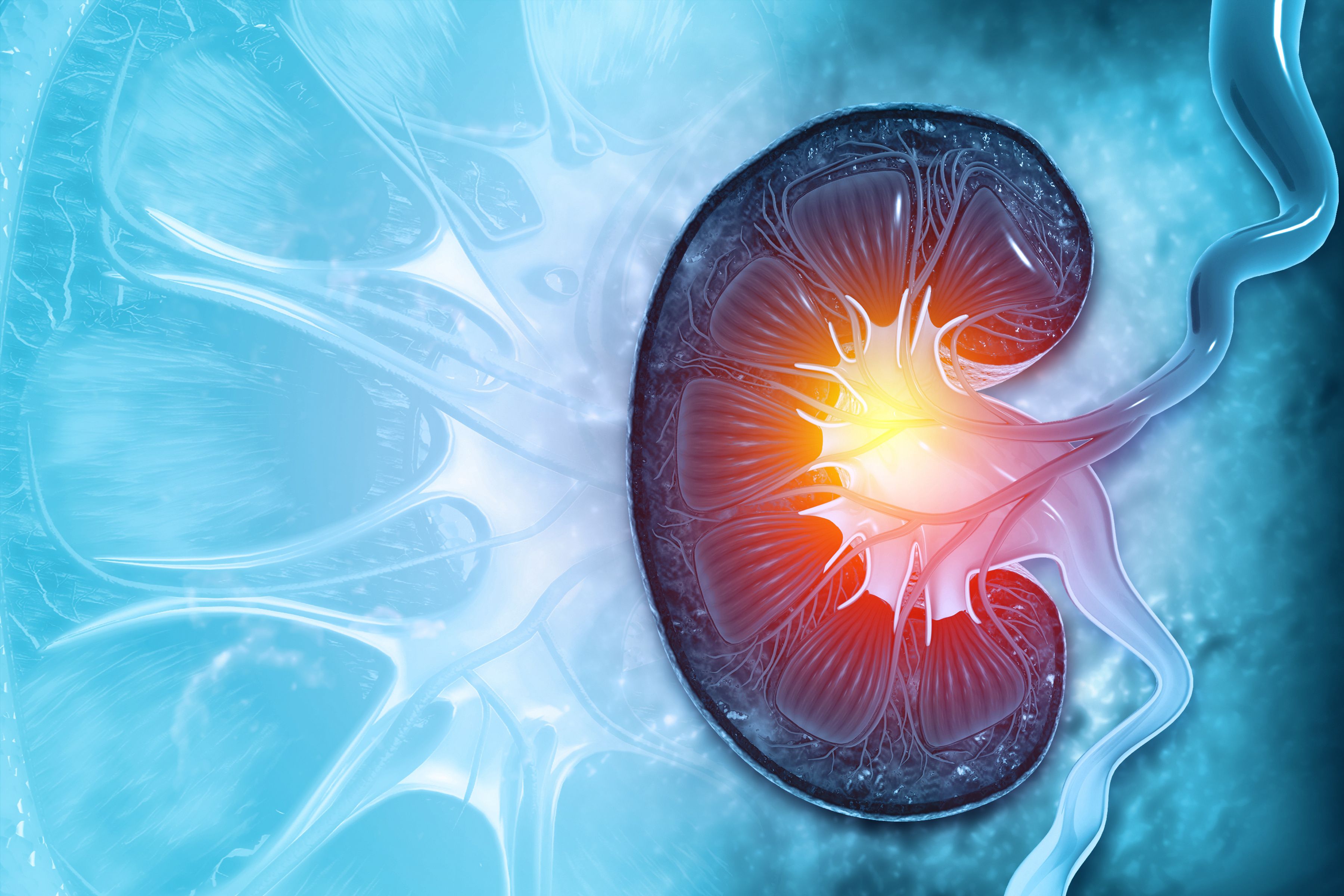 Data on the effects of discontinuing lithium on renal function are scarce and conflicting. A new study exploring these effects may aid in the clinical decision-making process.