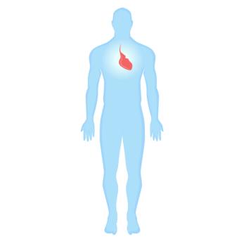 (©ksenvitaln/Shutterstock.com)