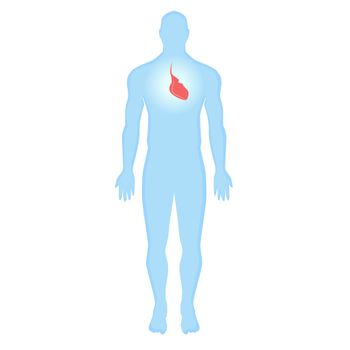 (©ksenvitaln/Shutterstock.com)