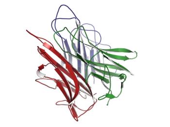 ©molekuul.be/shutterstock.com