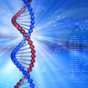 Researchers Identify Rules That Govern Immune Response