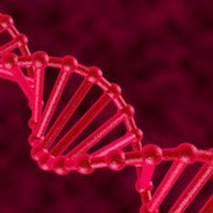 Genetics Study Explains How Schizophrenia Offsets Risk of Rheumatoid Arthritis