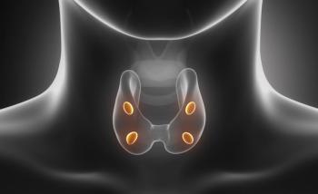 Digital illustration of parathyroid gland anatomy