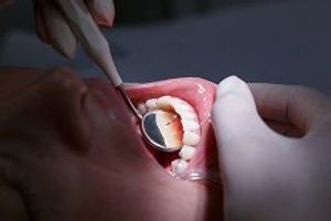 (©zlikovec/Shutterstock.com)