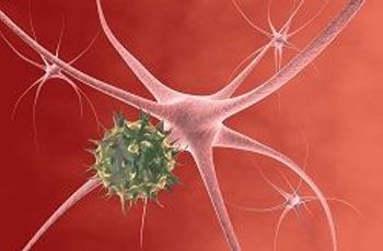 @CreativeImages/Shutterstock.com