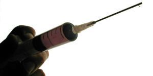 Honey Bee Venom Used to Treat Multiple Sclerosis and Osteoarthritis Pain