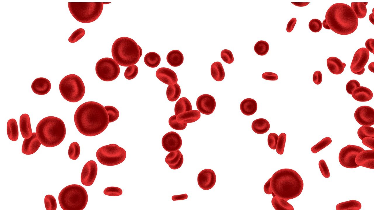 Reduced blood cell count: 