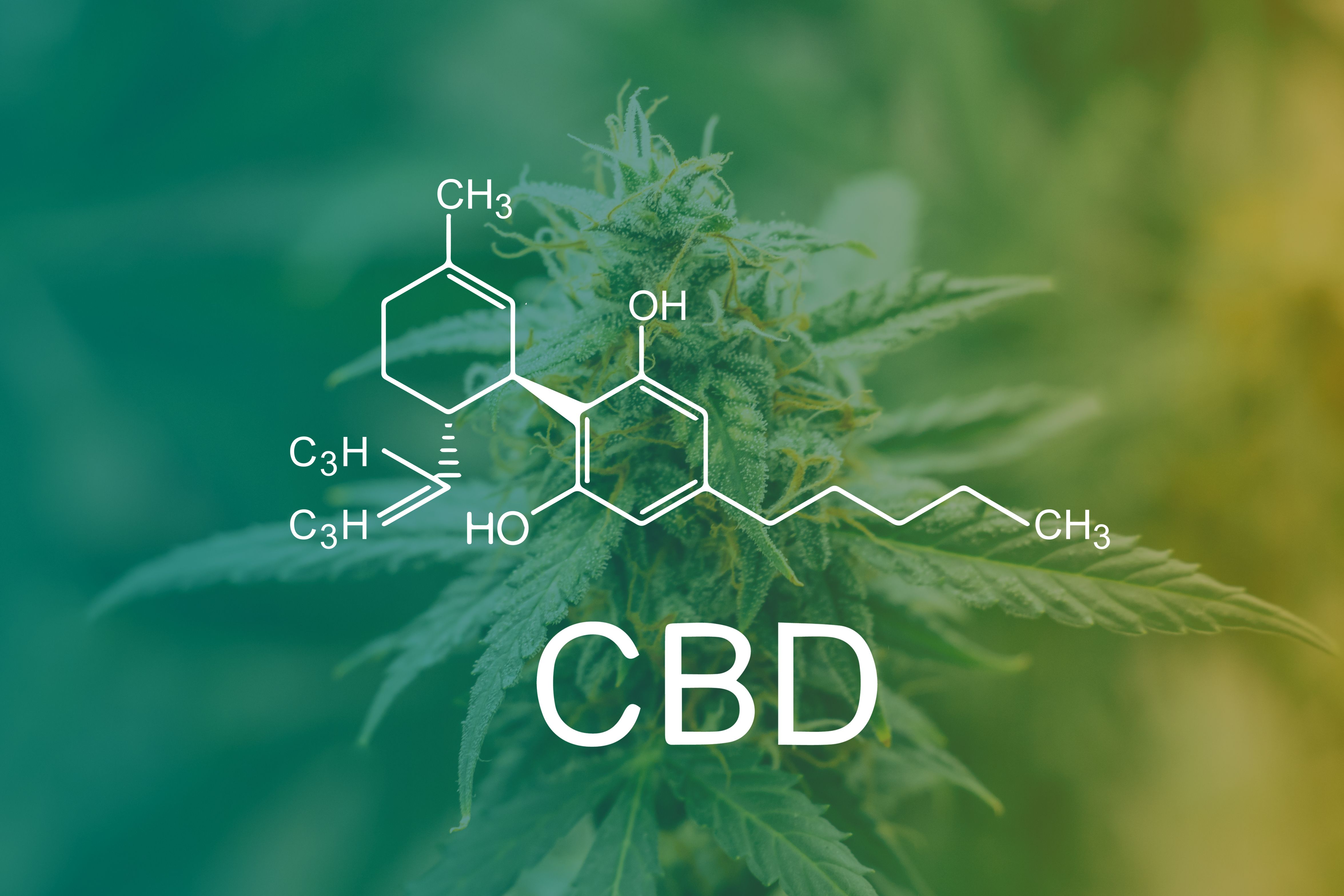 Growing Interest in Cannabidiol for Juvenile Idiopathic Arthritis Growing Interest in Cannabidiol for Juvenile Idiopathic Arthritis