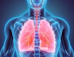 Higher Mortality Rates in Patients With Systemic Sclerosis-Associated Pulmonary Hypertension 