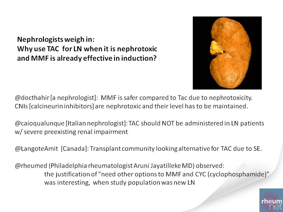 lupus nephritis
