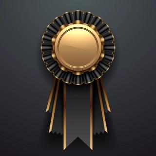 Gold and black award with ribbons | Image Credit: © d1sk - stock.adobe.com.
