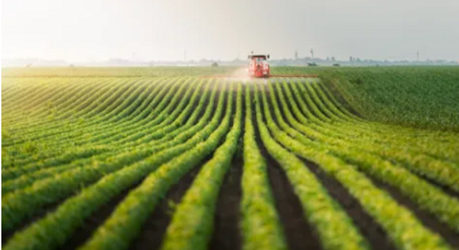 Tractor spraying pesticides at soy bean field | Image Credit: © Dusan Kostic - stock.adobe.com.