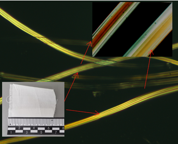 Multimodal Differentiation of Forensic Fibers Using Infrared and Raman Spectroscopy, Light Microscopy, and SEM-EDS