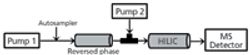 The Hyphenation of HILIC, Reversed-Phase HPLC, and Atmospheric-Pressure-Ionization MS