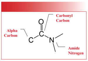The Big Review VIII: Organic Nitrogen Compounds