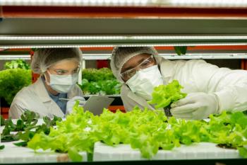 Young man in protective workwear holding sample of green lettuce seedling | Image Credit: © pressmaster - stock.adobe.com