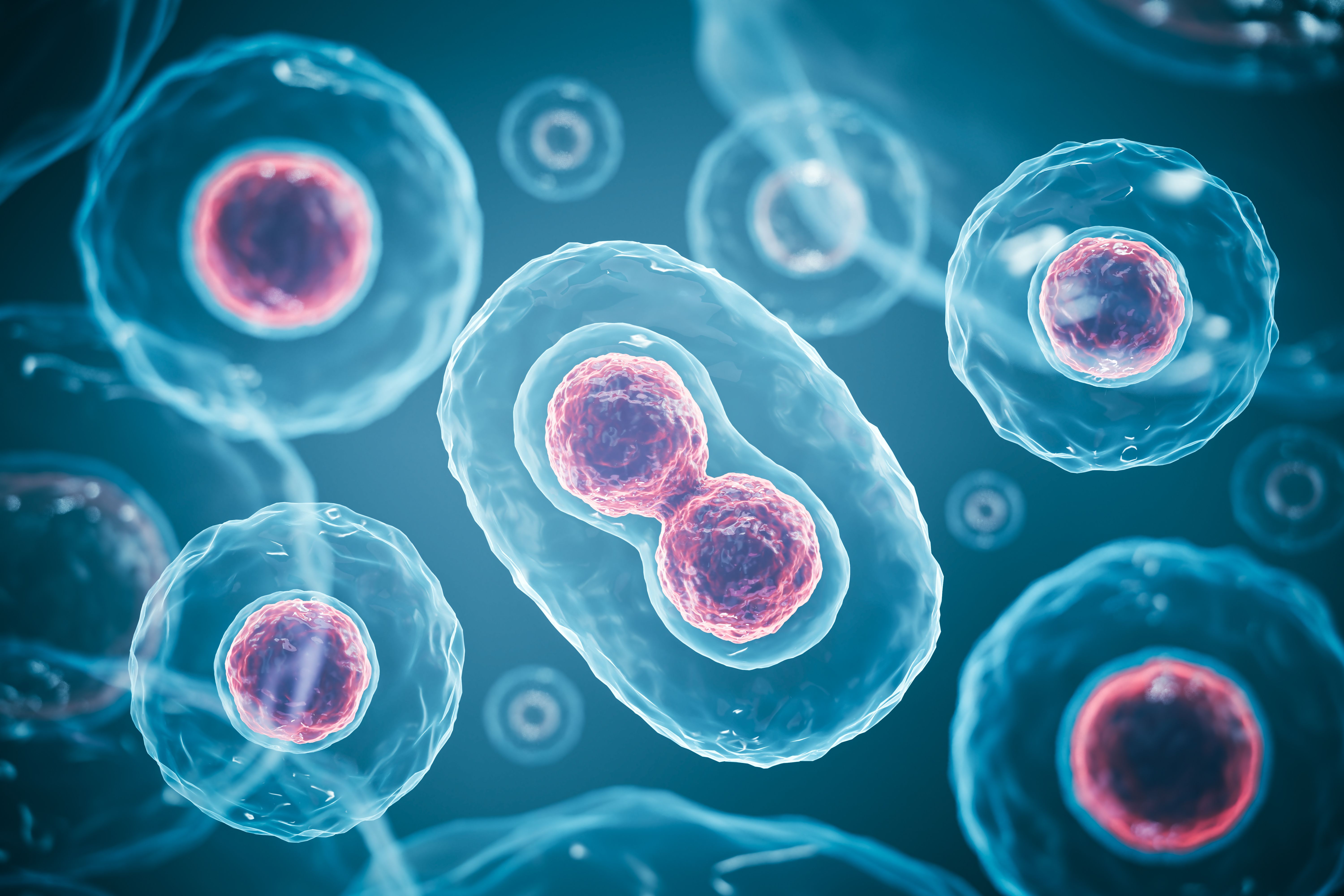 3d rendering of Human cell or Embryonic stem cell microscope background. | Image Credit: © Anusorn - stock.adobe.com