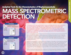 Analytical Tools for the Characterization of Biopharmaceuticals: Mass Spectrometric Detection