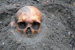 Archaeological excavation with skull still half buried in the ground | Image Credit: © esben468635 - stock.adobe.com.