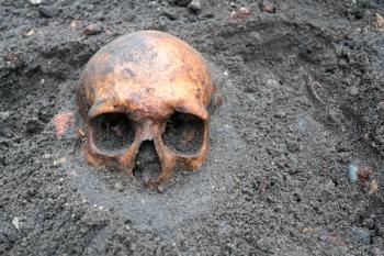 Archaeological excavation with skull still half buried in the ground | Image Credit: © esben468635 - stock.adobe.com