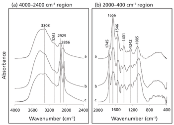 Spectroscopy1_i1.gif
