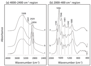 Spectroscopy1_i1.gif