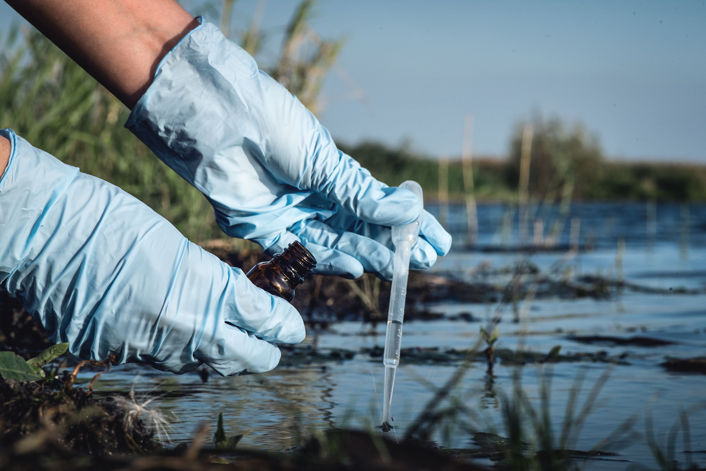Water pollution concept. Woman scientist takes a water sample from polluted pond. | Image Credit:  © Natali - stock.adobe.com