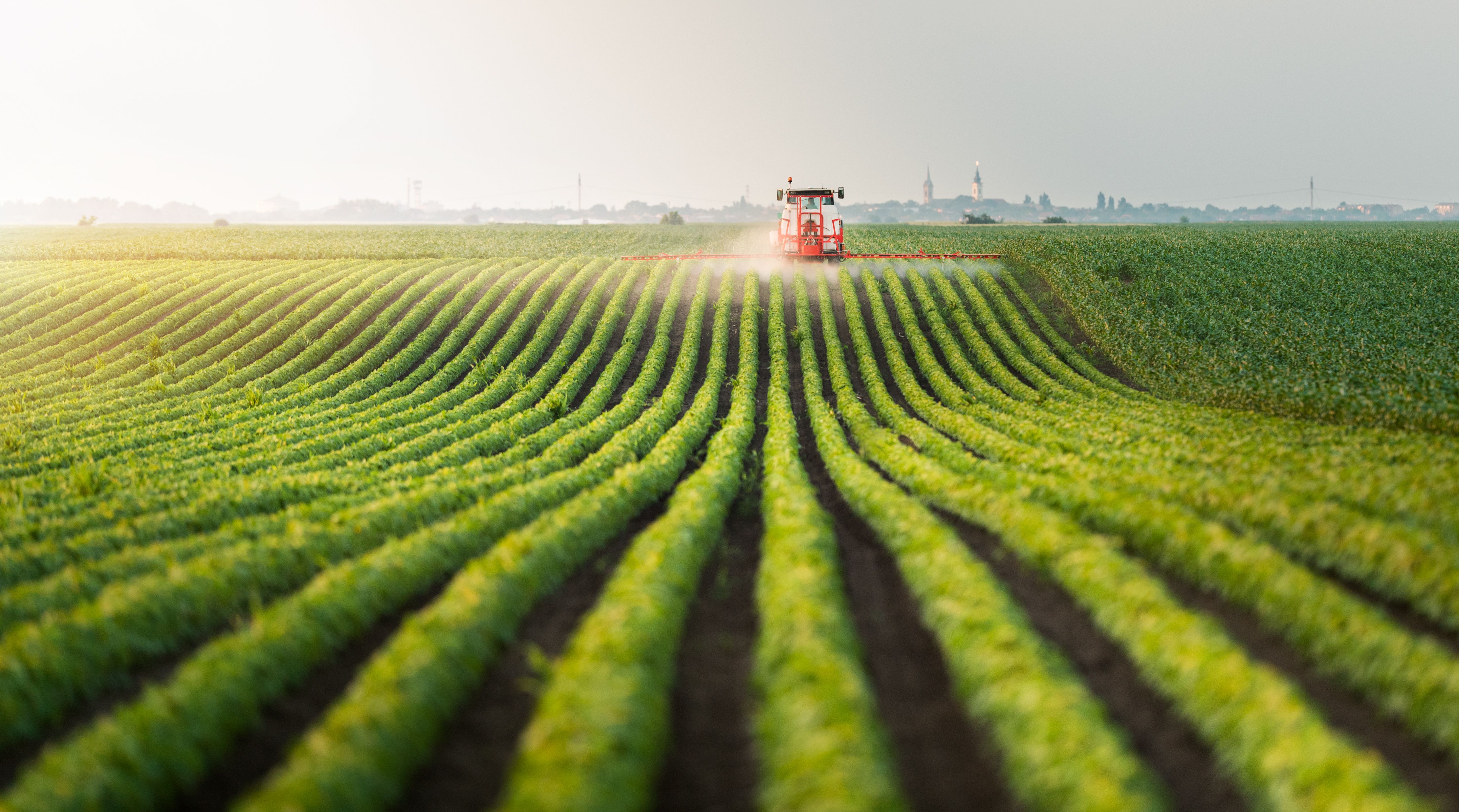 Tractor spraying pesticides at soy bean field | Image Credit: © Dusan Kostic - stock.adobe.com