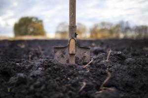 Energy Dispersive XRF in Soil Analysis for the Agrifood Sector