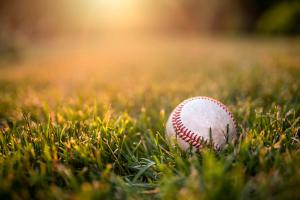 Baseball on the lawn. | Image Credit: © Reipert - stock.adobe.com.