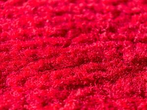 Close-up texture of soft red carpet fibers | Image Credit: © egisehungryboy - stock.adobe.com