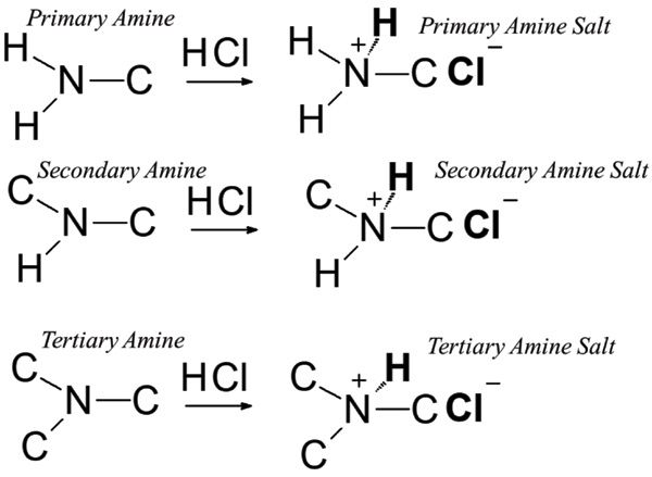 strong organic acids list