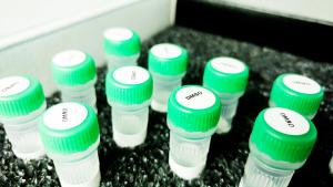 Lumazine Derivative Shows Promise for Non-Invasive Dimethyl Sulfoxide Detection