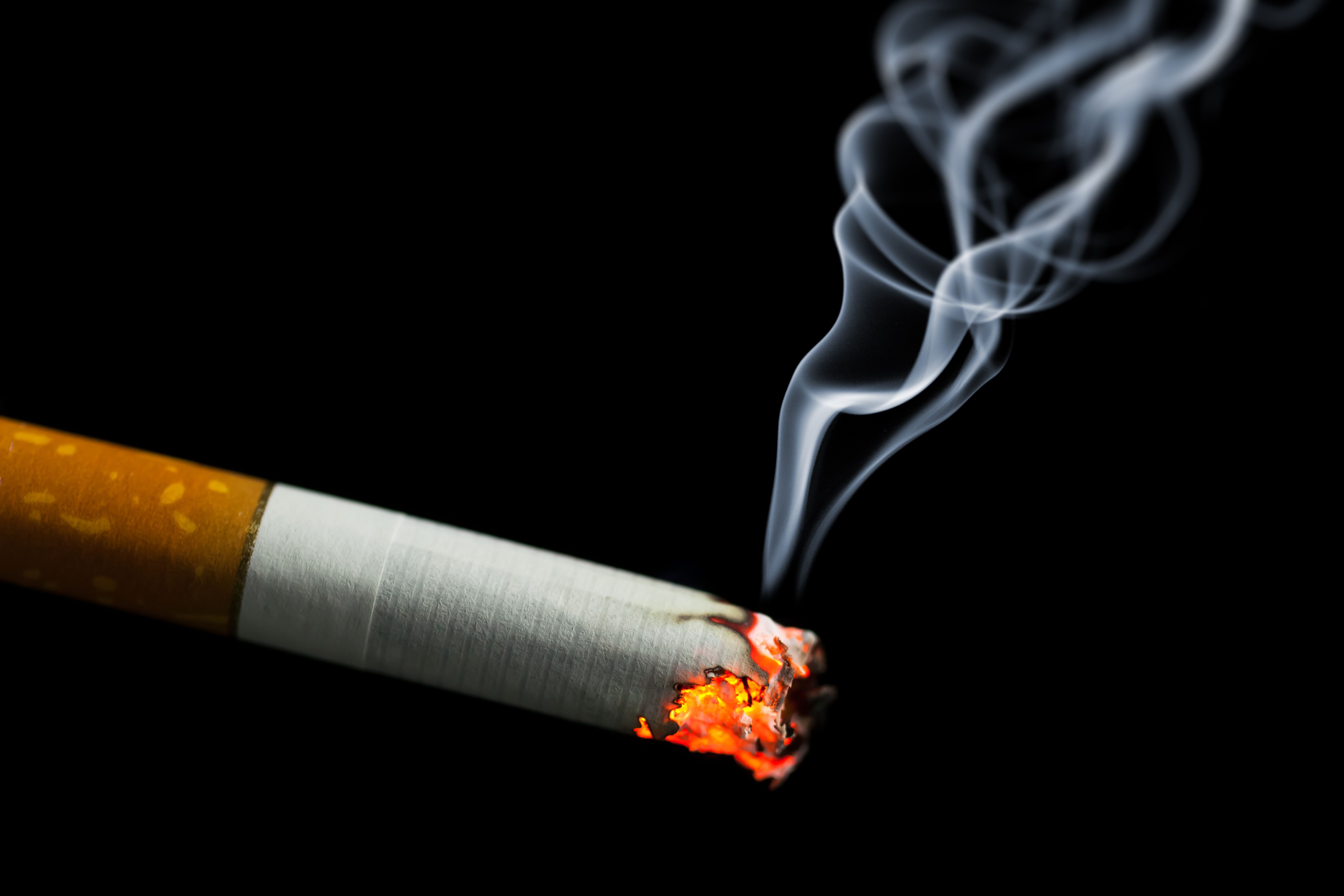 burned with cigarette SEM/EDX Analysis on Suspected Cigarette Burns in a Forensic Autopsy Case of  Child Abuse