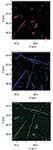 Spectroscopy1_i5_t-845645-1408522266191.jpg