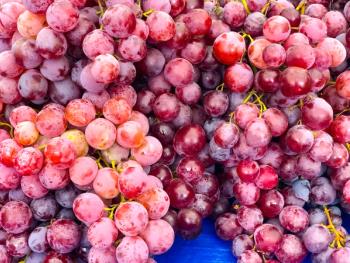 red globe from red and natural grape varieties | Image Credit: © emerald_media - stock.adobe.com